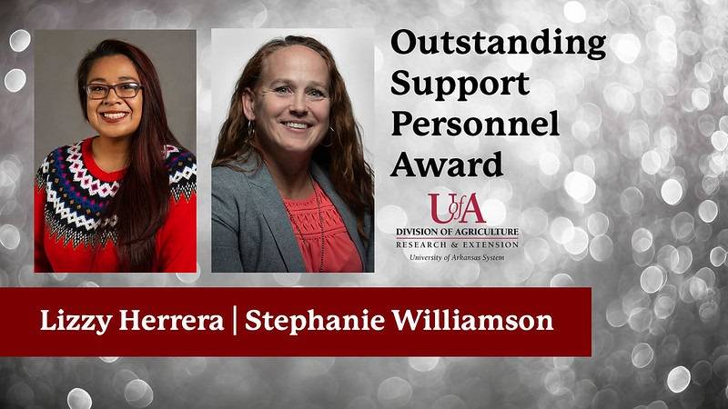 Stephanie Williamson Award