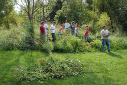 cses workday Sunday at the Bryce-Davis Wetlands