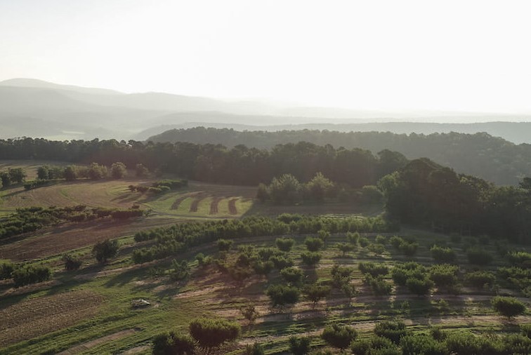 Farmland and skyline