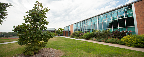 Exterior photo of the Bumpers College building